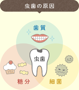 虫歯の原因は「歯質」「糖分」「細菌」です